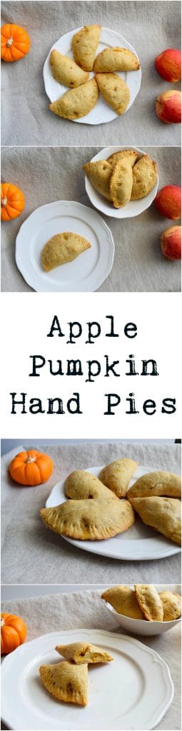 apple-pumpkin-hand-pies